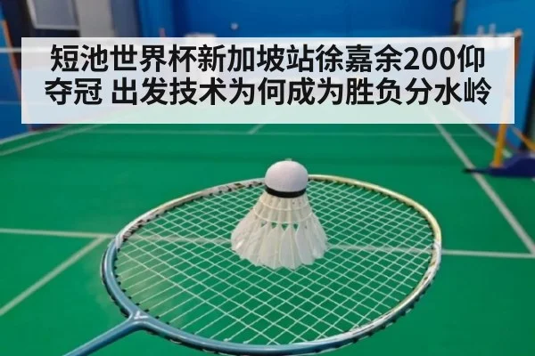 短池世界杯新加坡站徐嘉余200仰夺冠 出发技术为何成为胜负分水岭